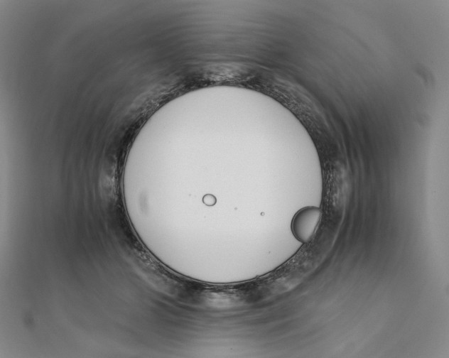 X0000110320510200906111455