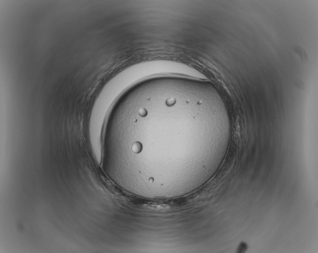 X0000110320512200906111455