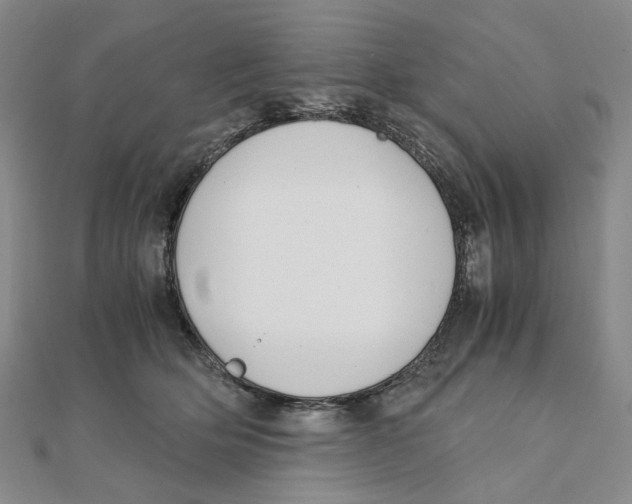 X0000110320514200906111455