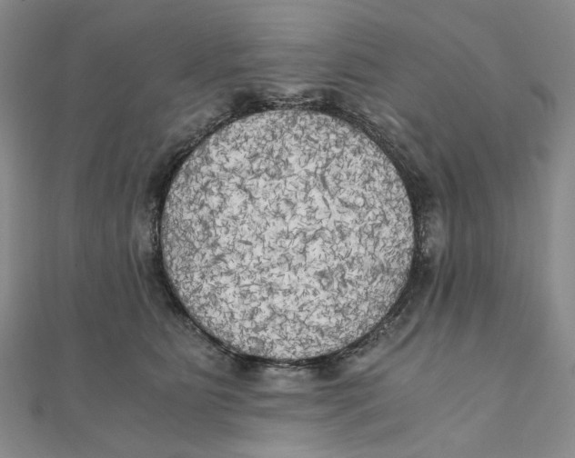 X0000110320515200906111455