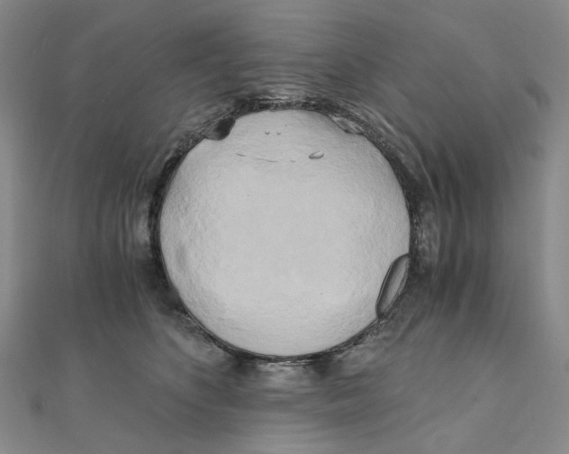 X0000110320516200906111455