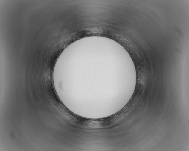 X0000110320518200906111455