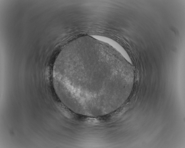 X0000110320519200906111455