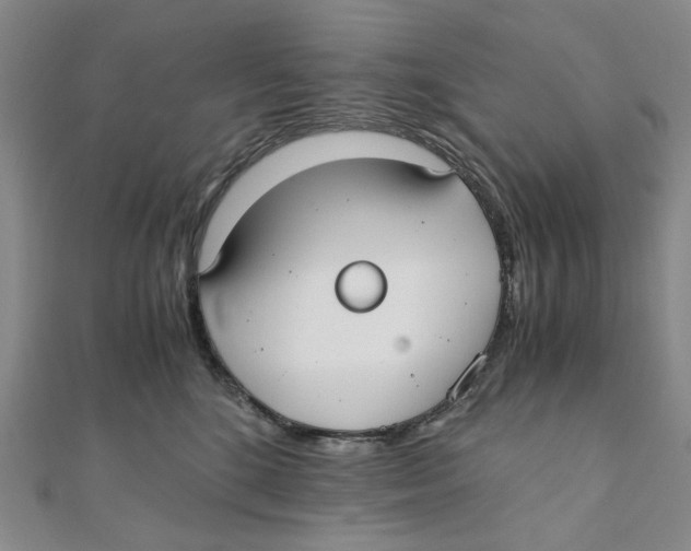 X0000110320520200906111455