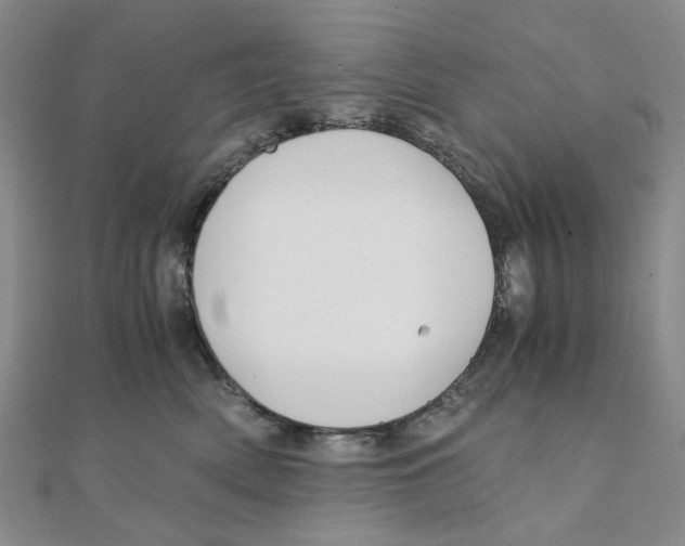 X0000110320522200906111455