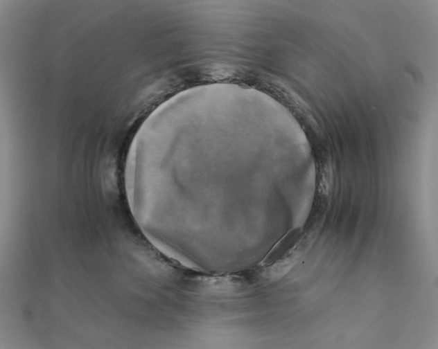 X0000110320524200906111455