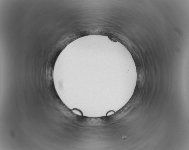 X0000110320525200906111455