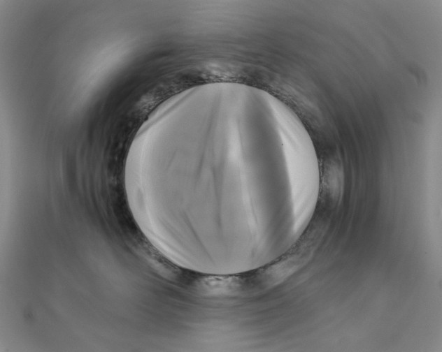 X0000110320526200906111455