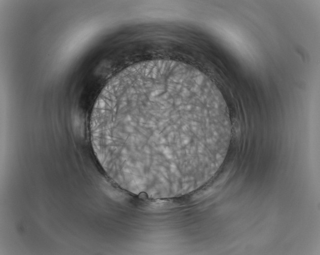 X0000110320527200906111455