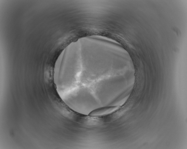 X0000110320528200906111455