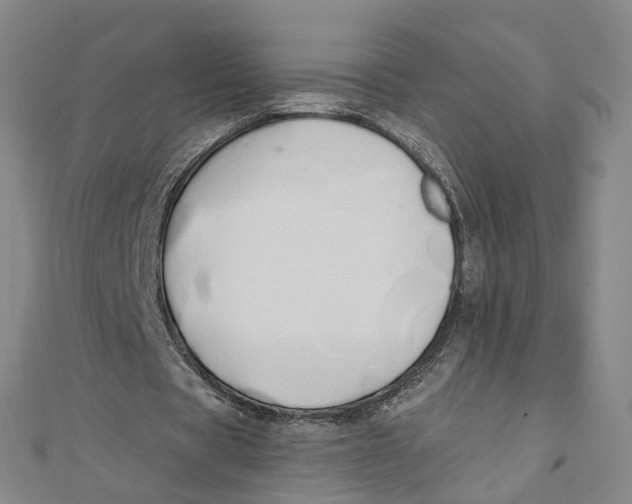 X0000110320529200906111454