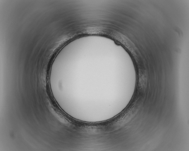 X0000110320530200906111454