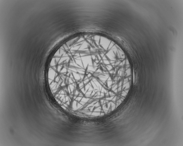 X0000110320531200906111454