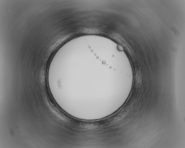 X0000110320533200906111455