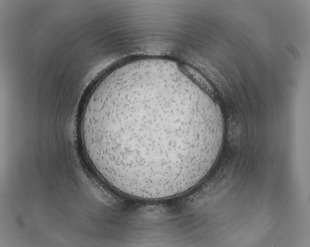 X0000110320536200906111455