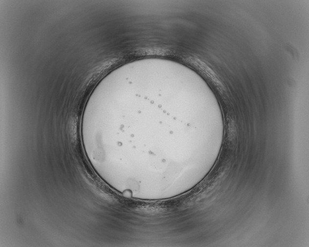 X0000110320537200906111455