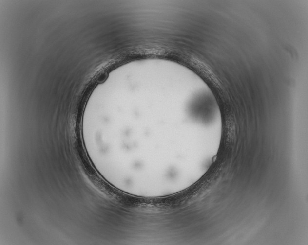 X0000110320538200906111455