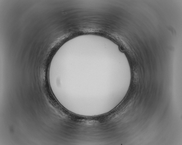 X0000110320539200906111455