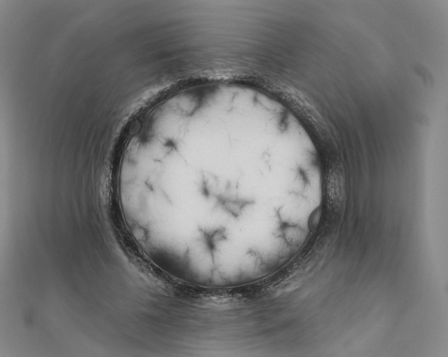 X0000110320540200906111455