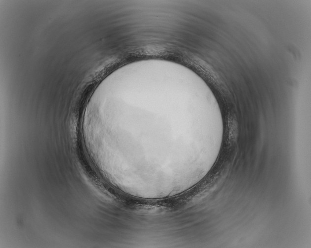 X0000110320542200906111455