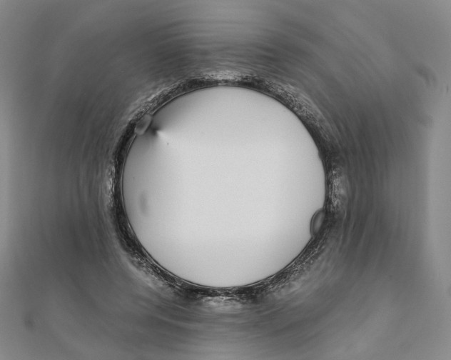 X0000110320544200906111455