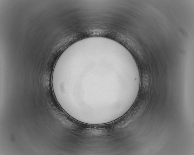 X0000110320545200906111455