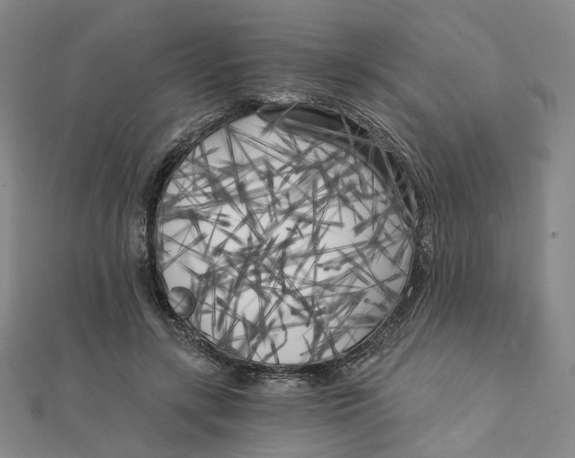 X0000110320547200906111455