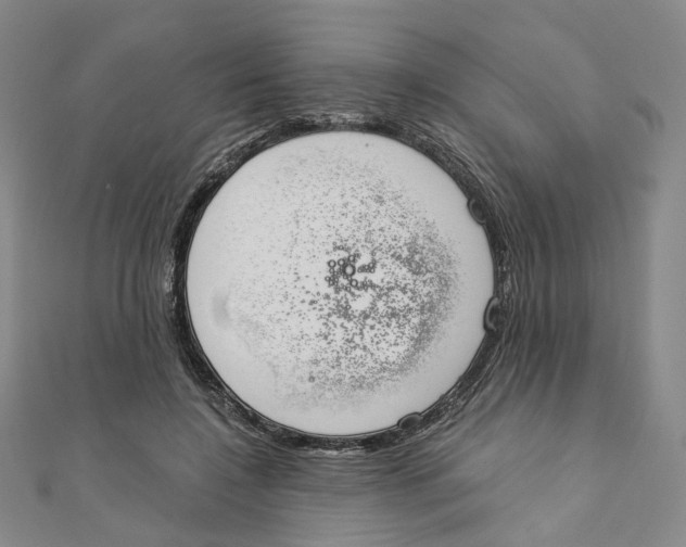 X0000110320548200906111455