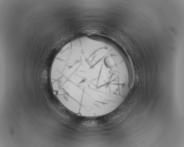 X0000110320551200906111455