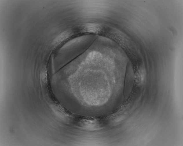 X0000110320552200906111455