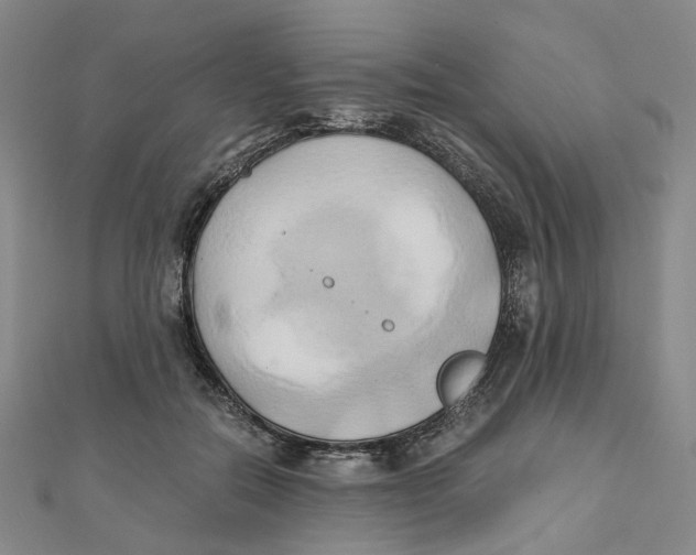 X0000110320554200906111455