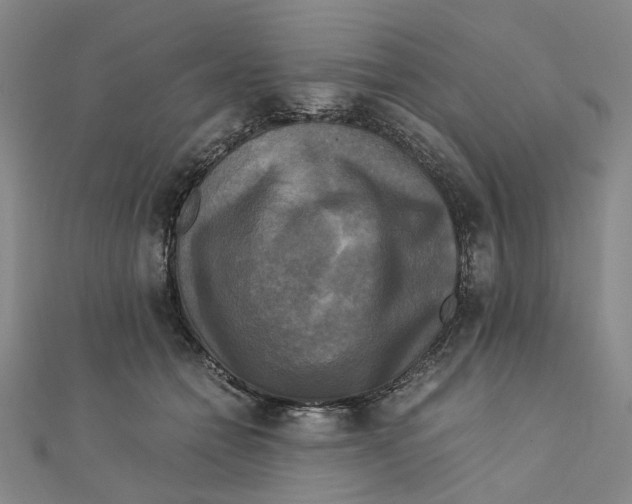 X0000110320558200906111455