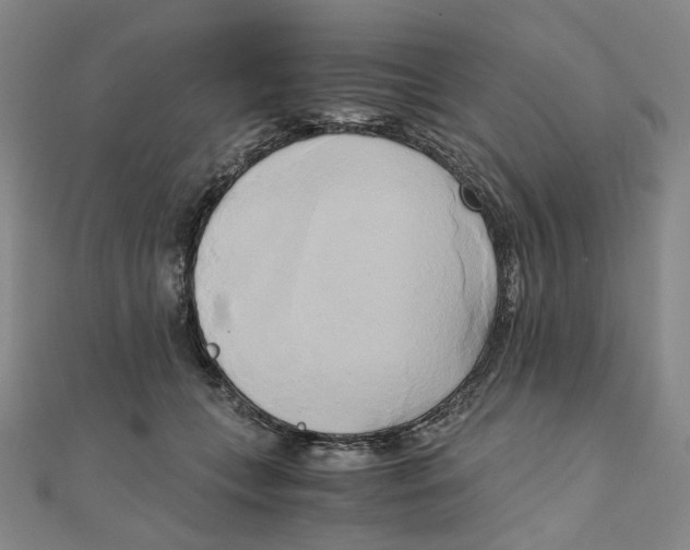 X0000110320559200906111455