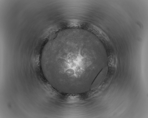 X0000110320560200906111455