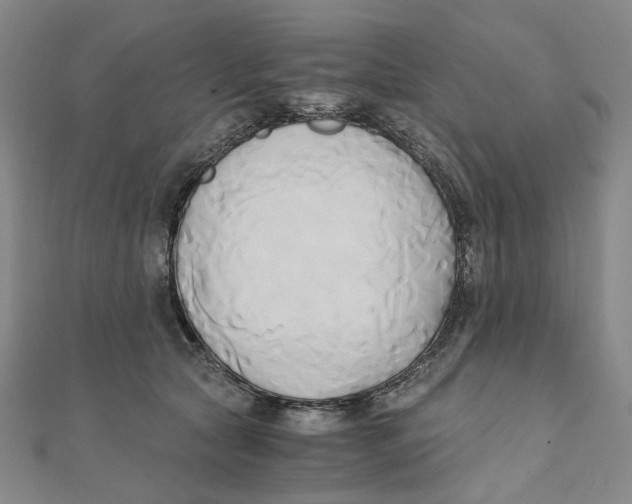 X0000110320561200906111455