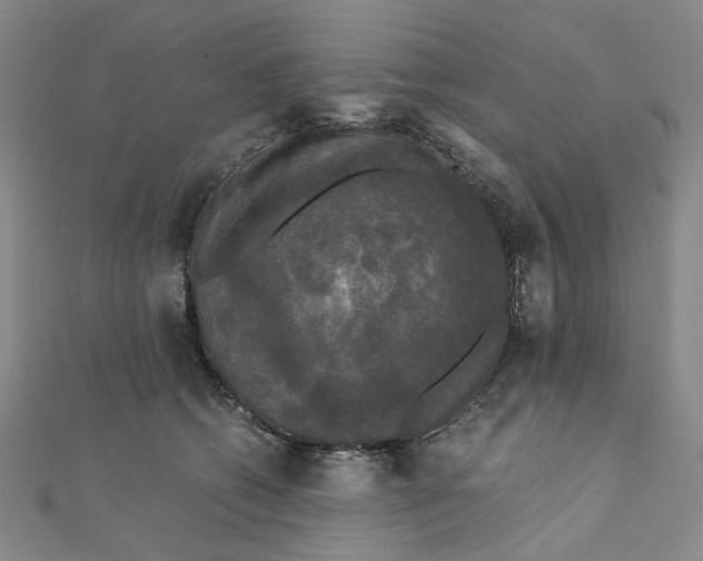 X0000110320562200906111455