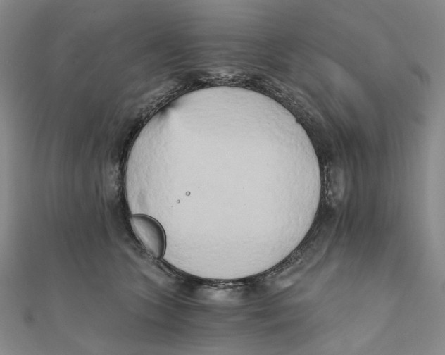 X0000110320563200906111455