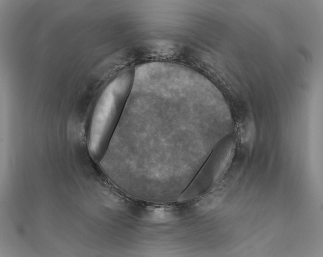 X0000110320564200906111455