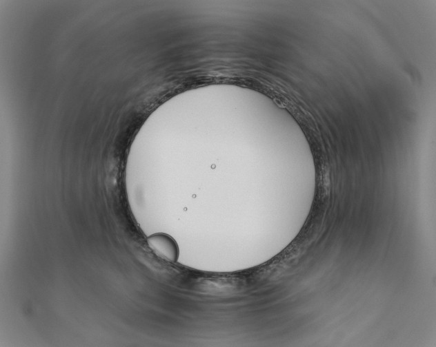 X0000110320567200906111455