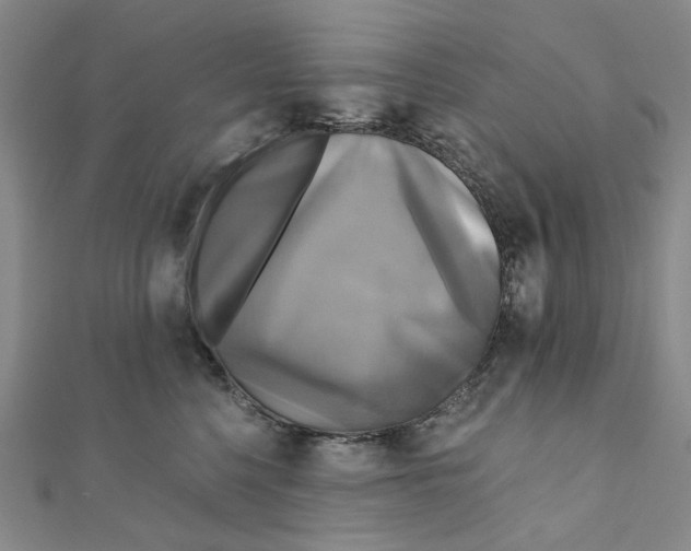 X0000110320568200906111455