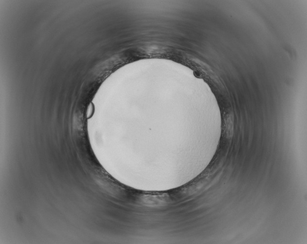 X0000110320571200906111455