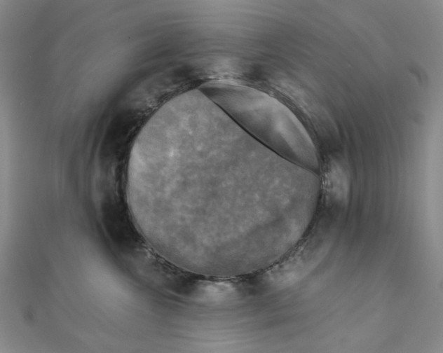 X0000110320572200906111455