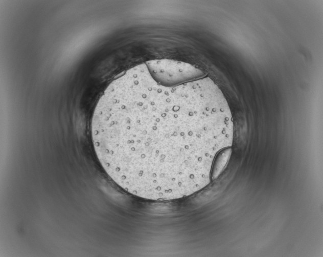 X0000110320574200906111455