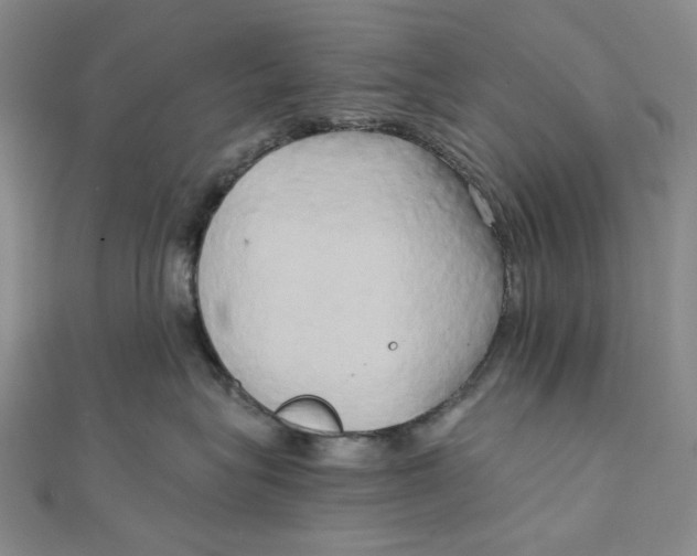 X0000110320575200906111455