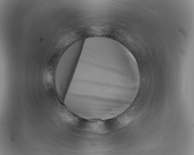 X0000110320576200906111455