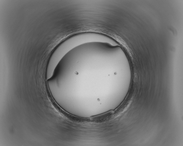 X0000110320577200906111454