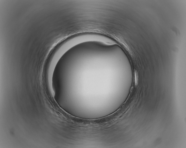 X0000110320579200906111454