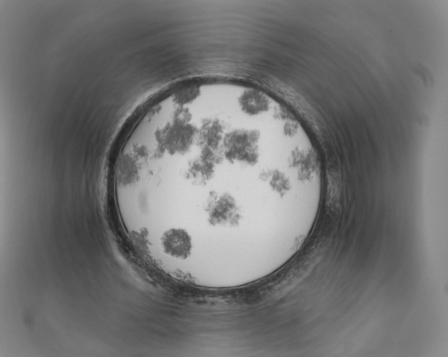 X0000110320580200906111454