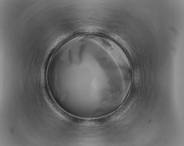 X0000110320581200906111454