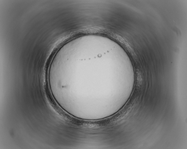 X0000110320582200906111454